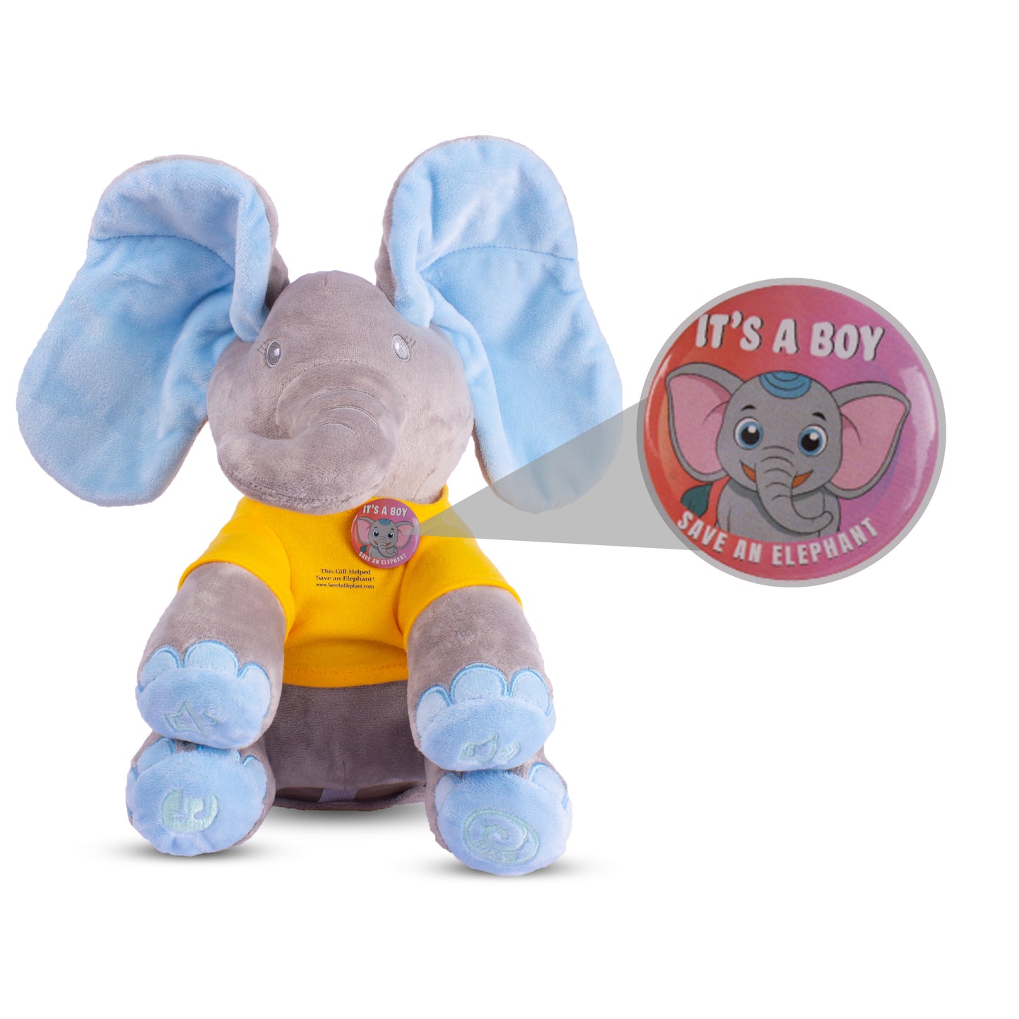 gender reveal gift boy