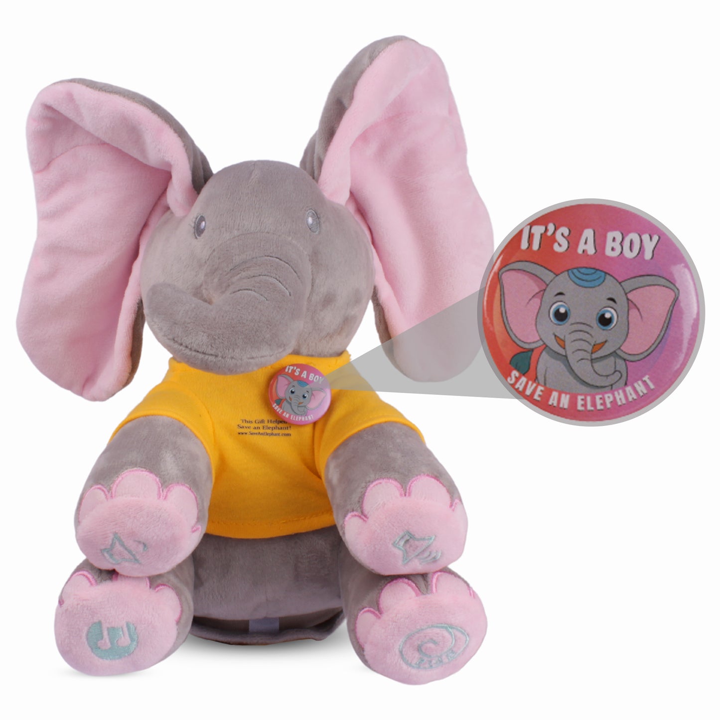 gender reveal gift boy