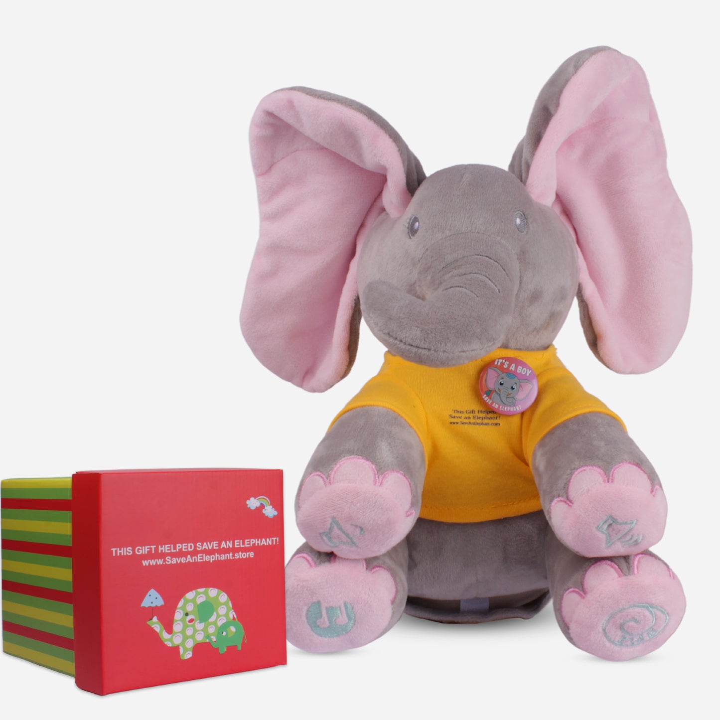 gender reveal gift boy