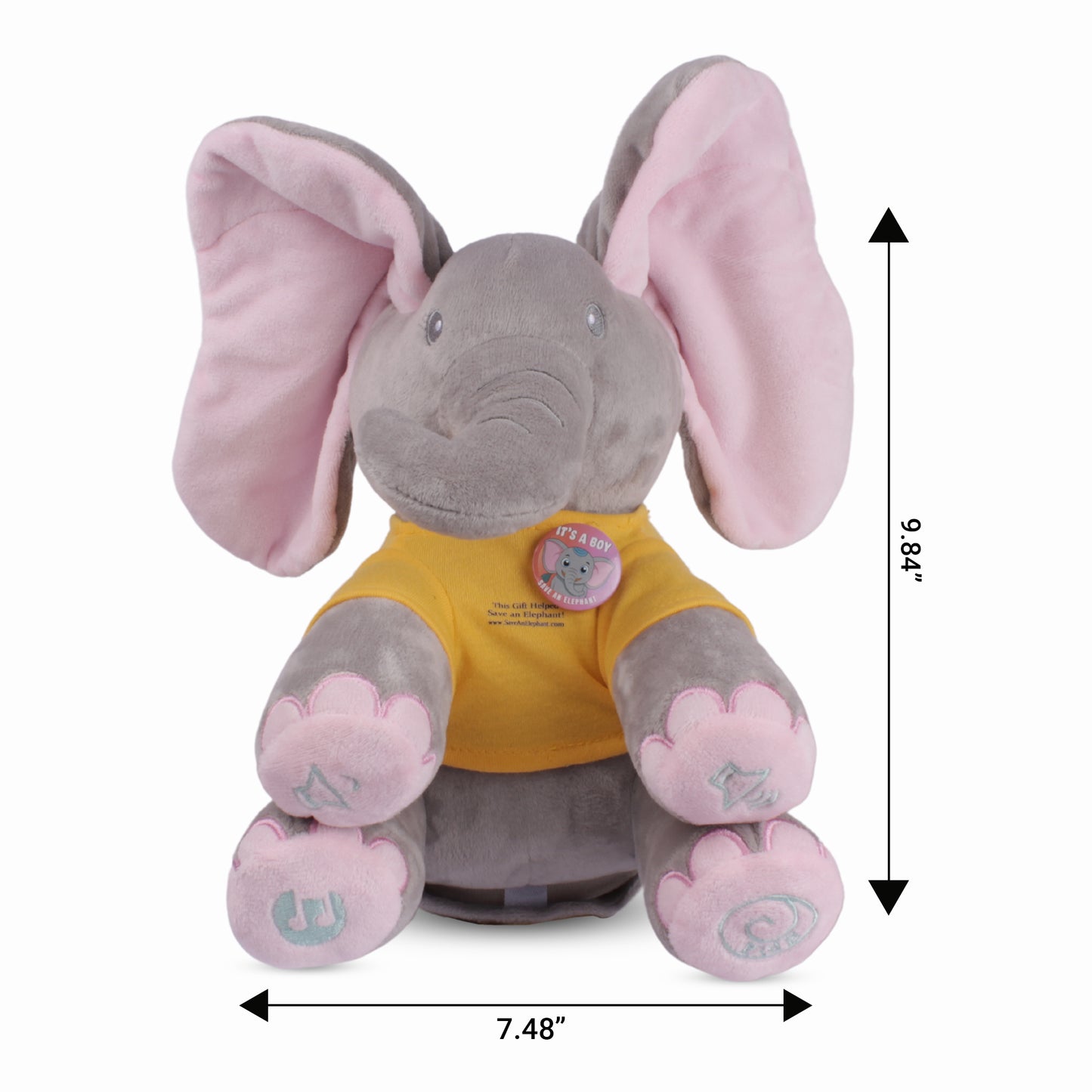 gender reveal gift boy